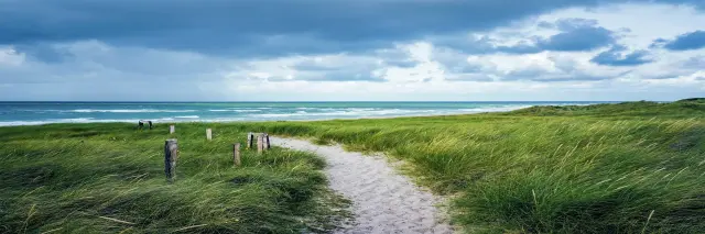 Paisaje verde con el mar de fondo