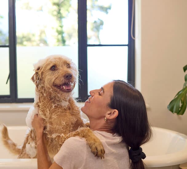 Una mujer bañando a su perro