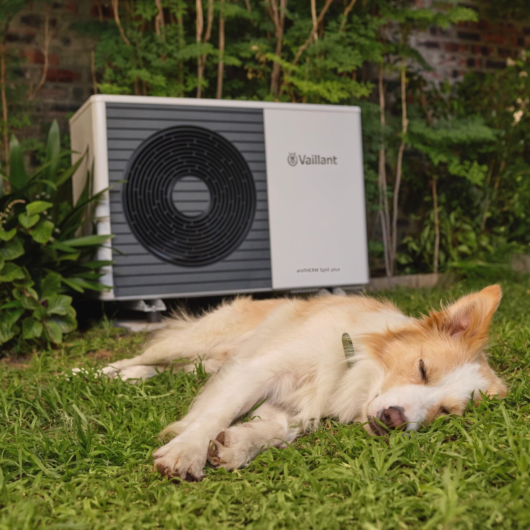 Perro durmiendo delante de una bomba de calor en el jardín.