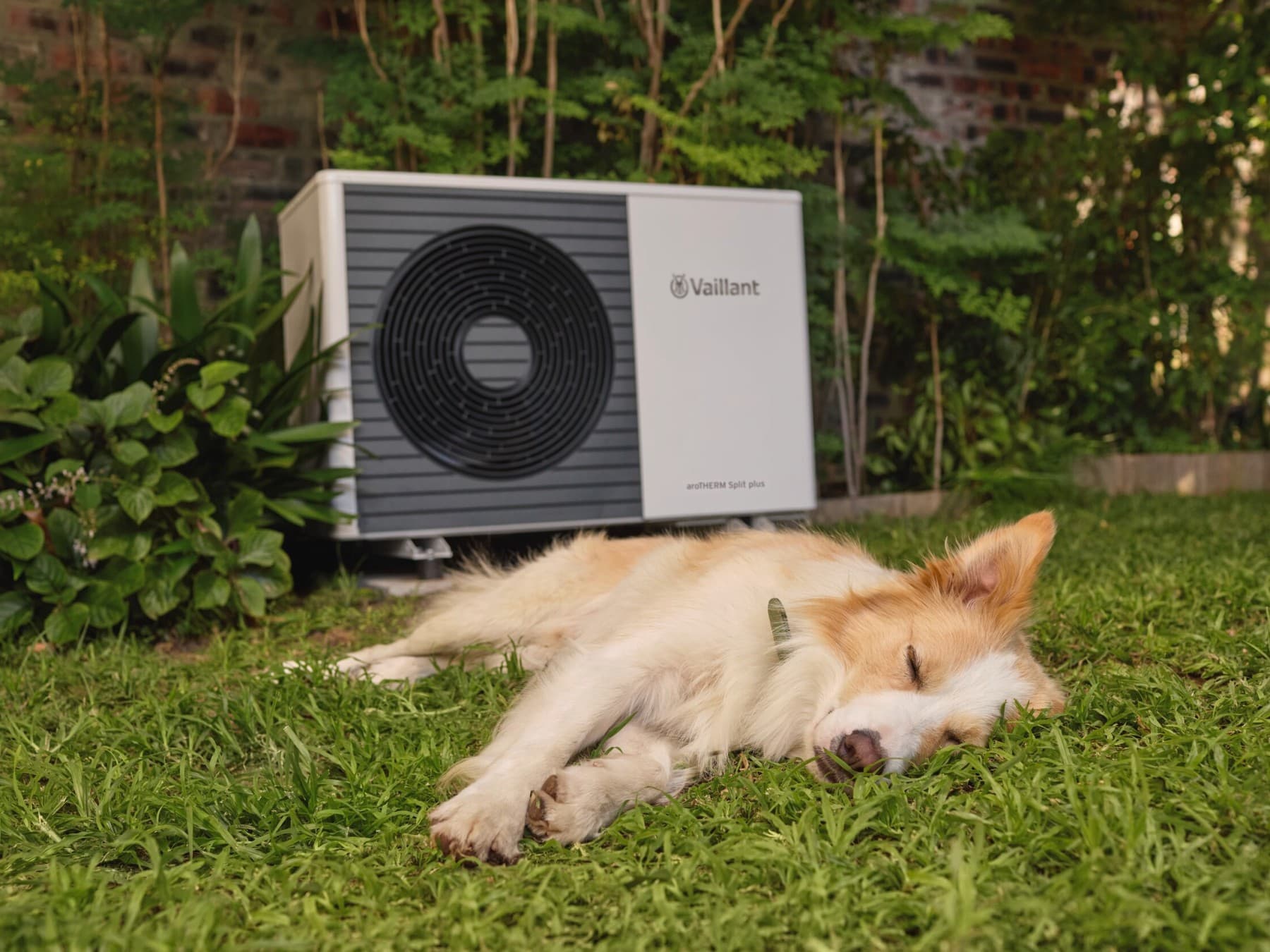 Perro durmiendo cerca de la bomba de calor
