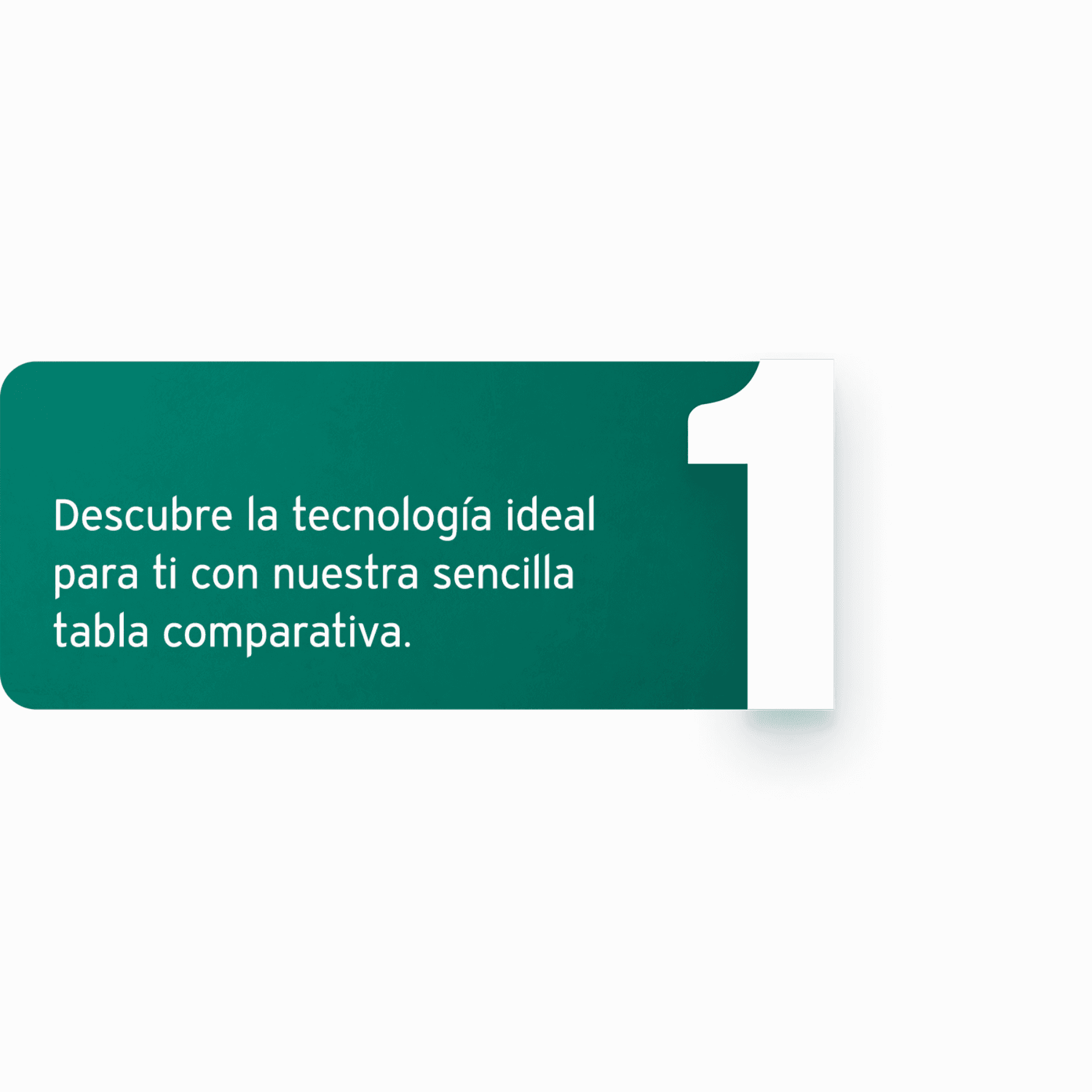 1. Tus opciones