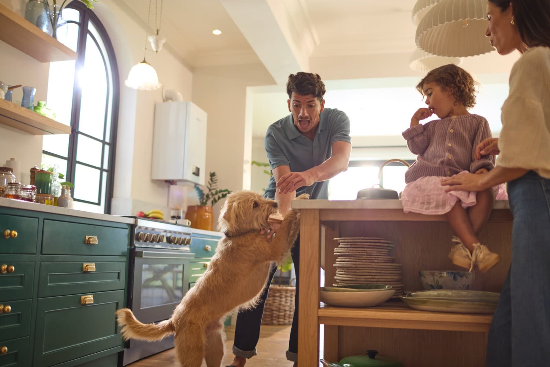 Familia en la cocina jugando con un perro