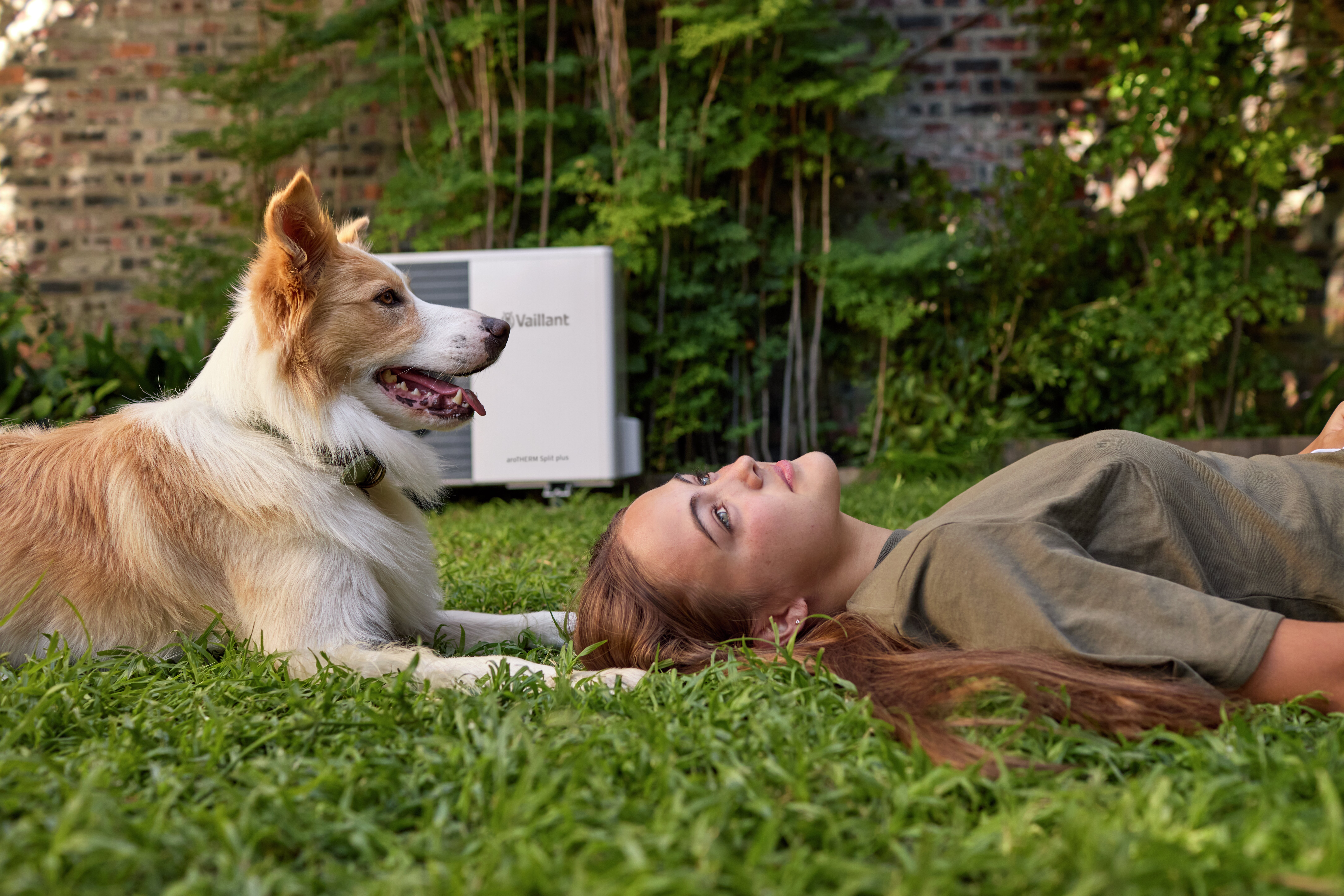 Servicio Técnico Oficial Vaillant